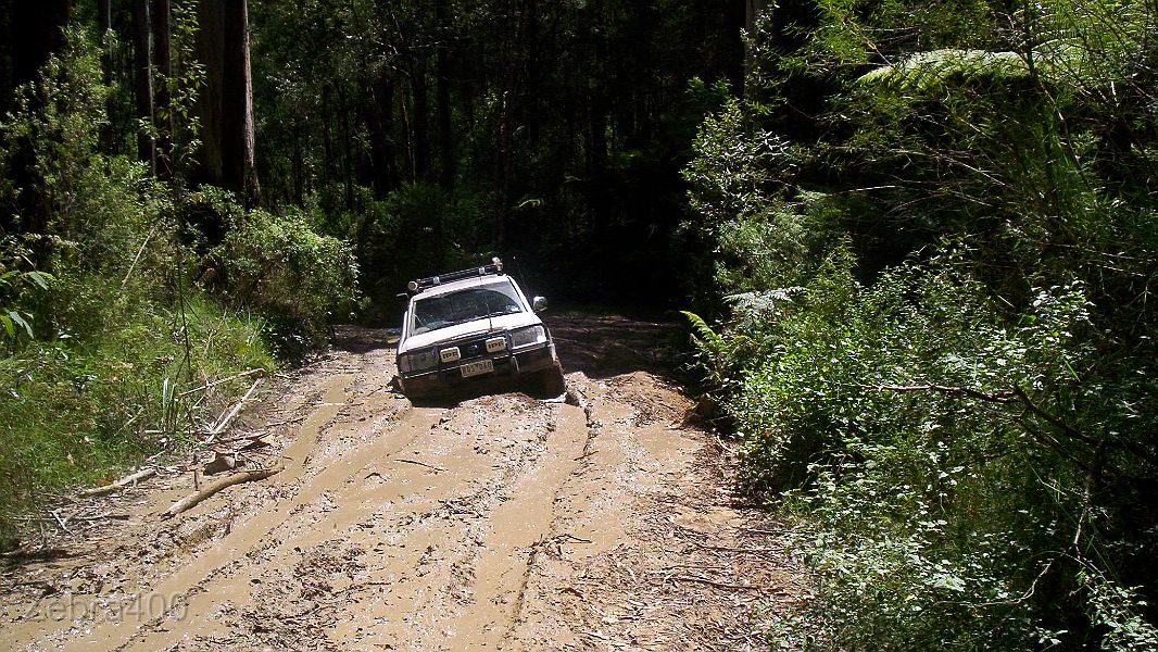 23-Drifter loves the Otways mud!.jpg
